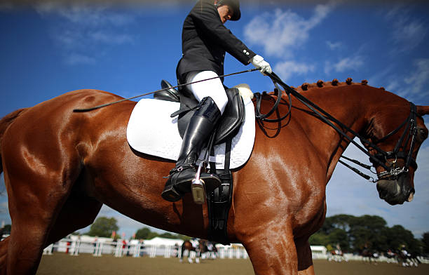 STONELEIGH, ENGLAND - SEPTEMBER 13:  Competitors warm up their horses as they take part in The National Dressage Championships at Stoneleigh Park  on September 13, 2012 in Stoneleigh, England. The four day event attracts the country's top riders with 22 national titles to win. The event is considered the pinnacle competition of the year. Equestrian sports have seen a boost in interest after the great successes of 2012 Olympic and Paralympic riders.  (Photo by Christopher Furlong/Getty Images)