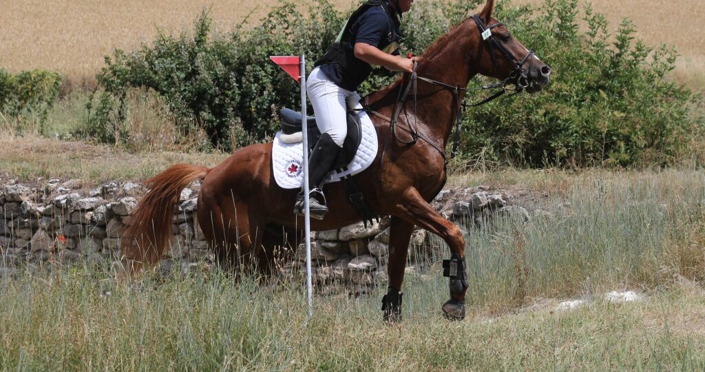 TREC 2 E1786707387385