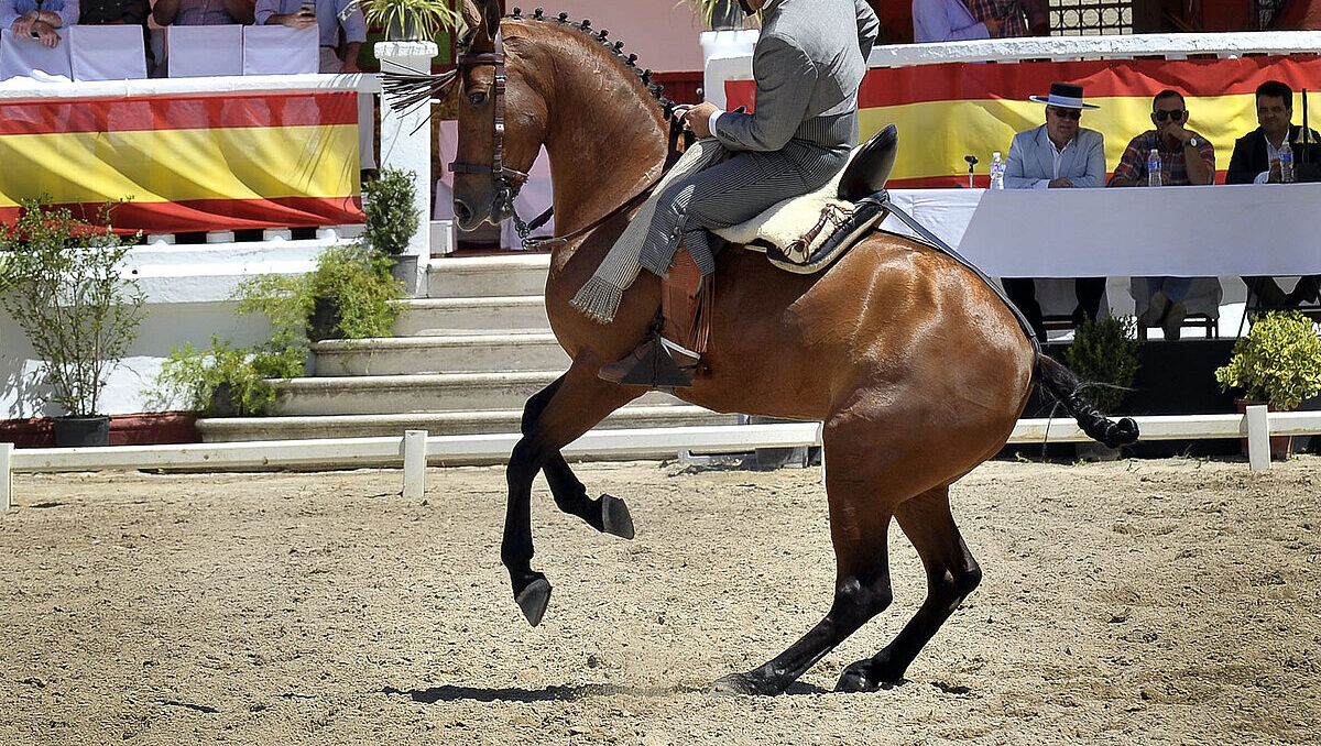 vaquera