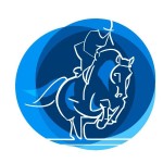 salto logo 150x150